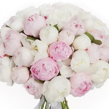 Букет MIX из 51 белого и розового пиона